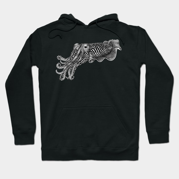 Cuttlefish Hoodie by Tim Jeffs Art